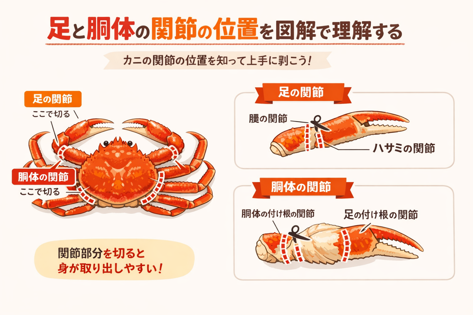 インフォグラフィック2