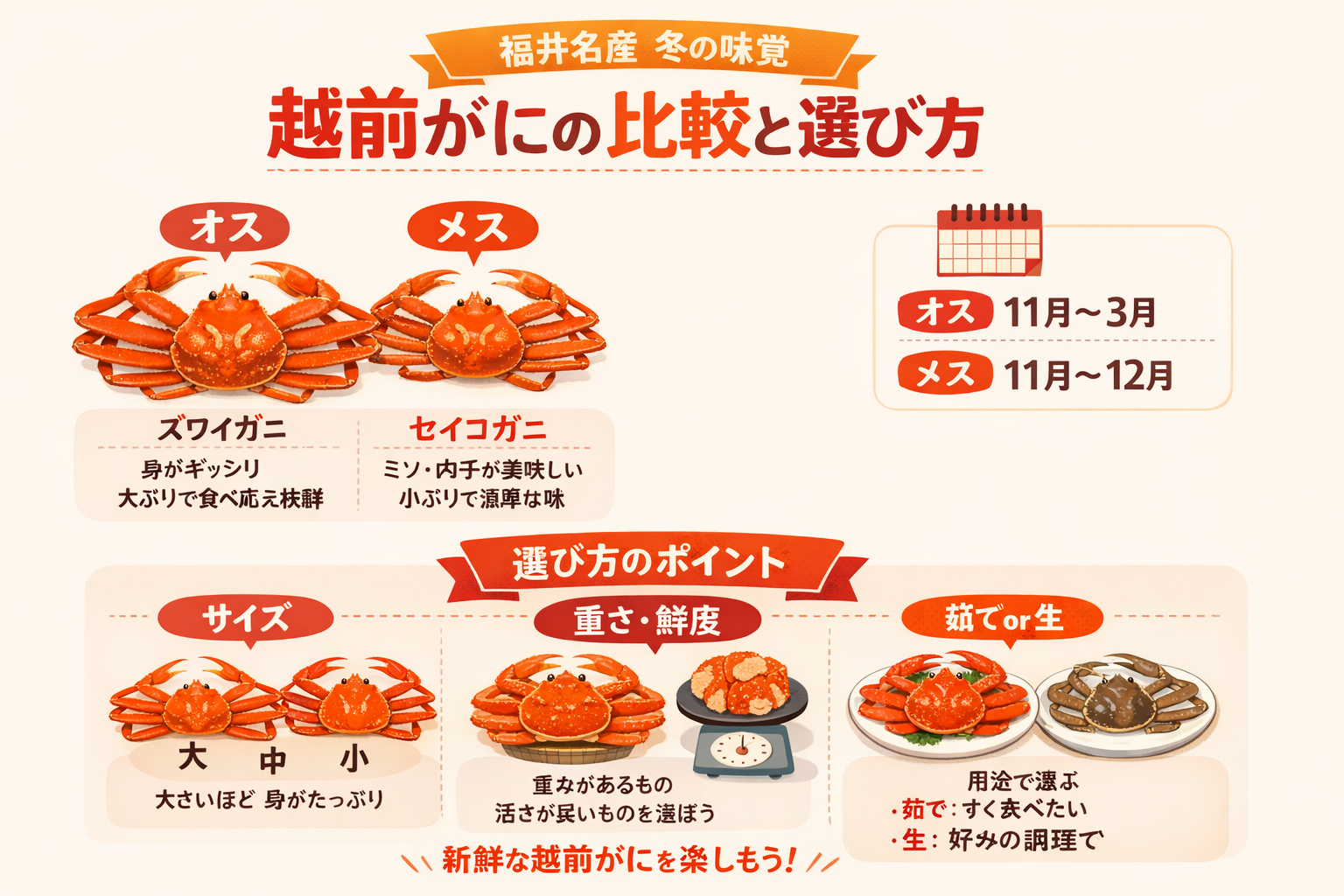 インフォグラフィック1