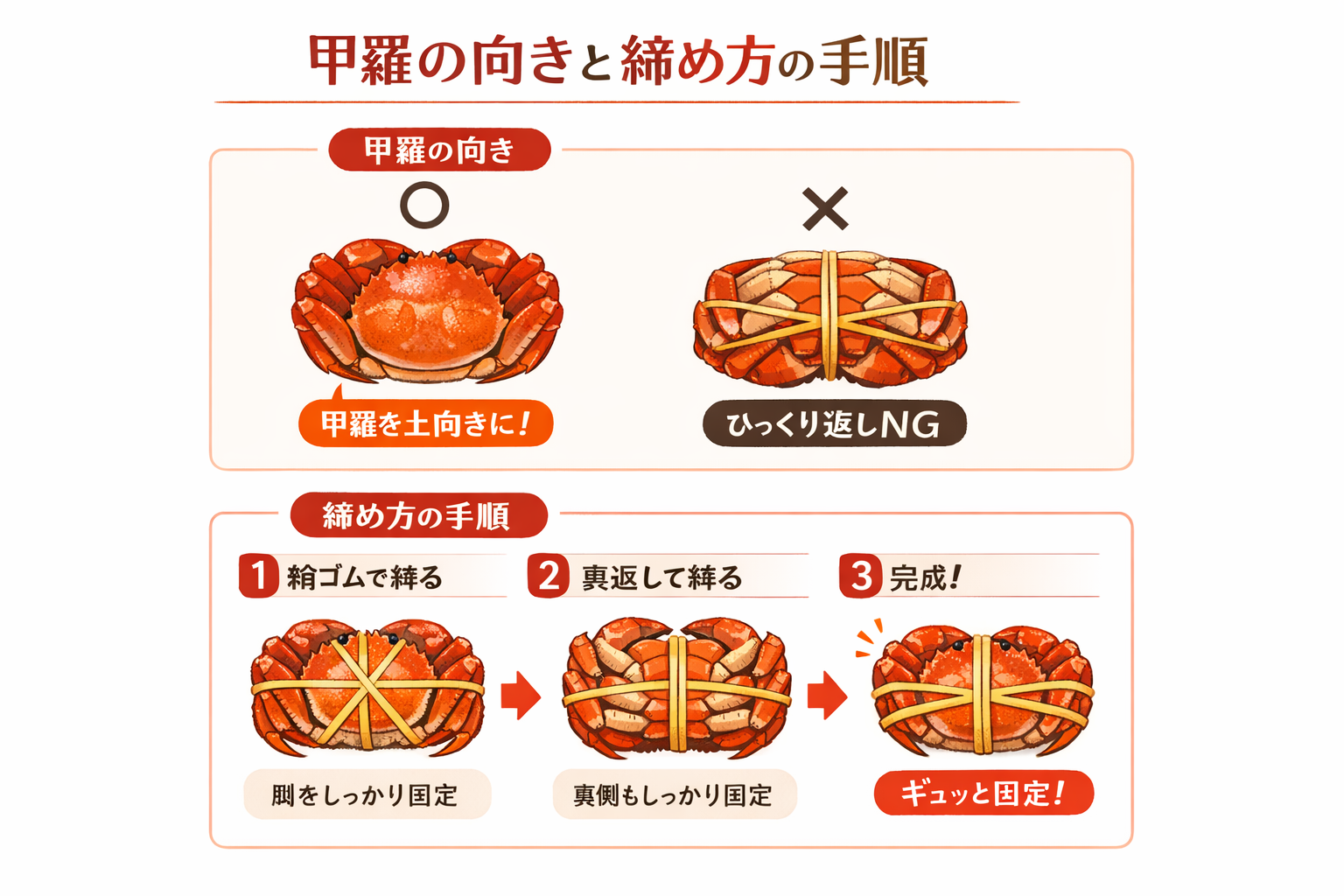 インフォグラフィック2