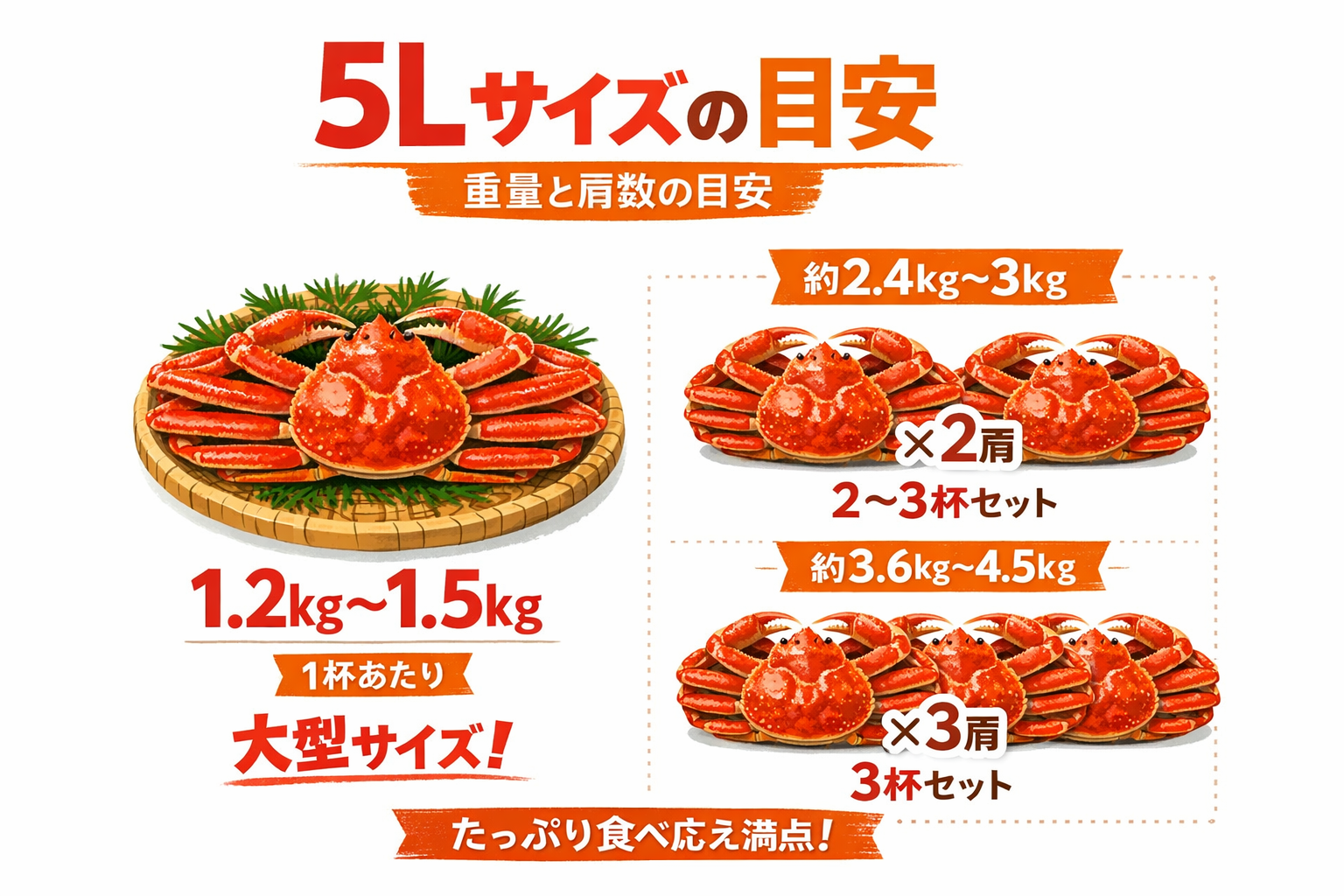 インフォグラフィック2