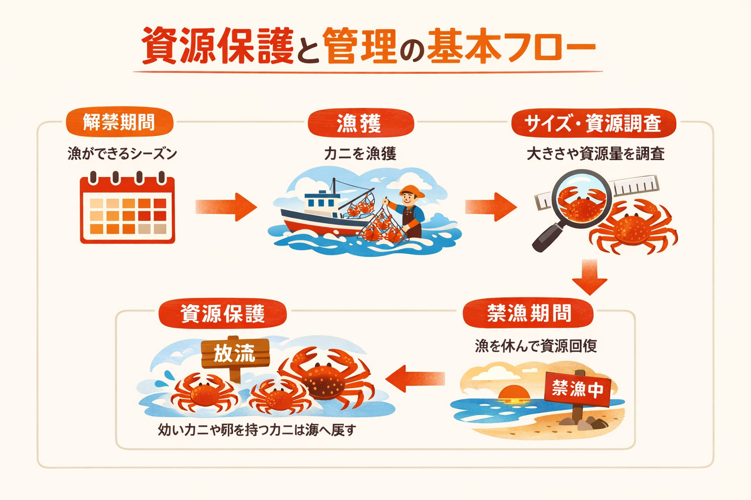 インフォグラフィック3