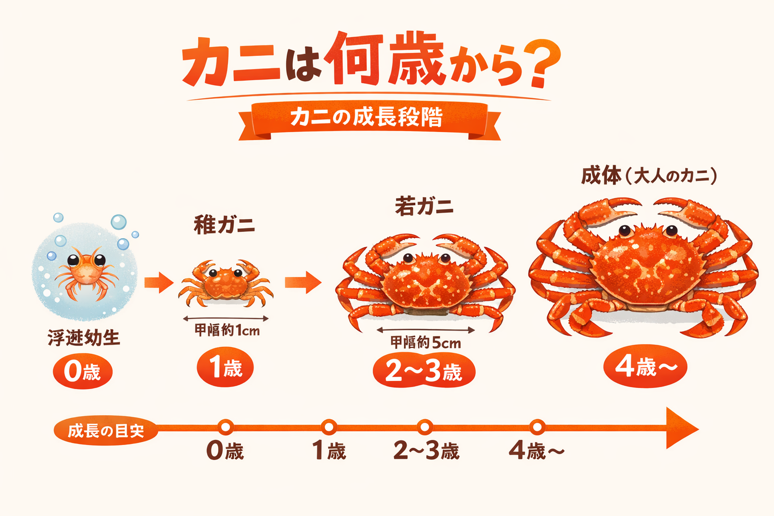 インフォグラフィック2