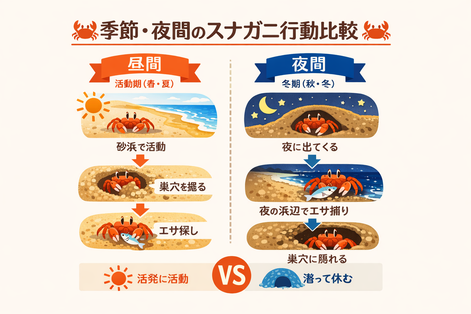 インフォグラフィック2