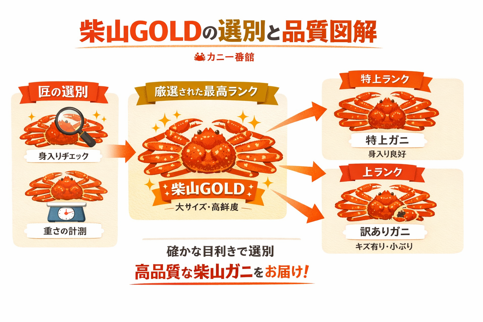 インフォグラフィック2