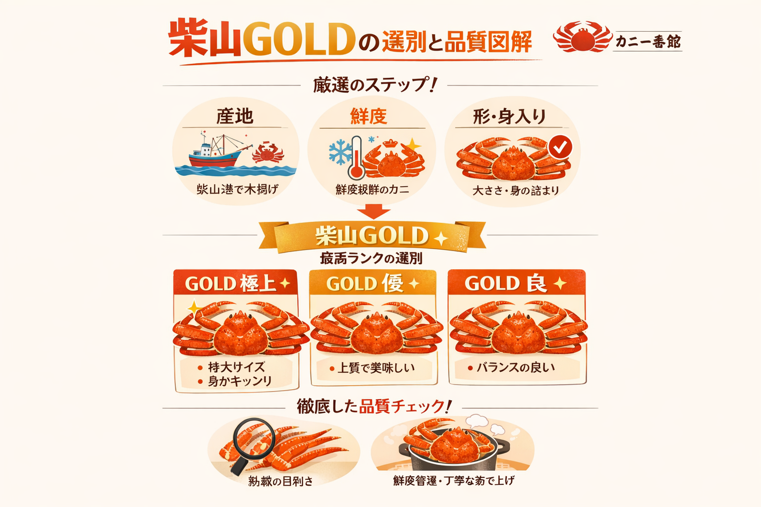 インフォグラフィック3