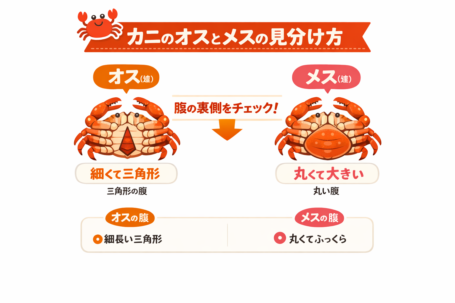 インフォグラフィック3