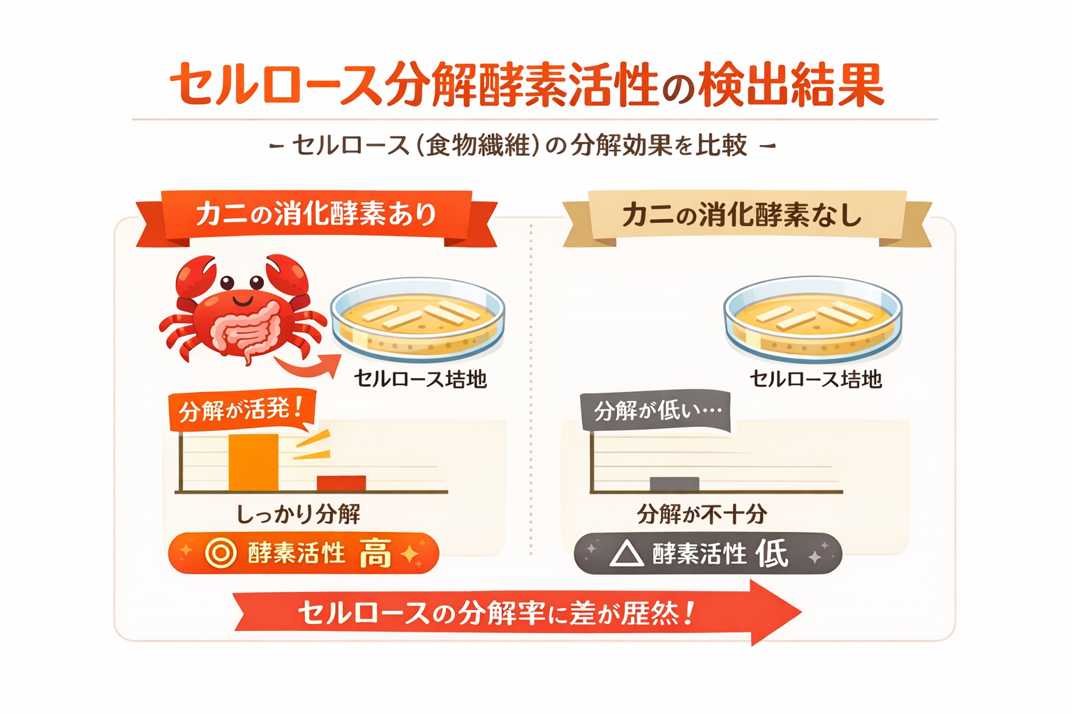 インフォグラフィック1