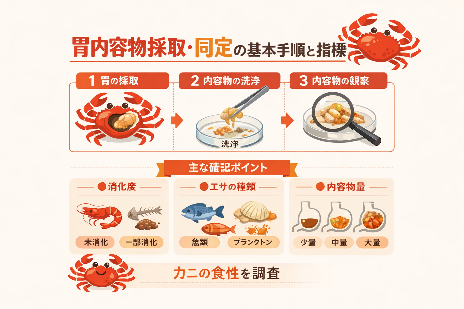 インフォグラフィック3