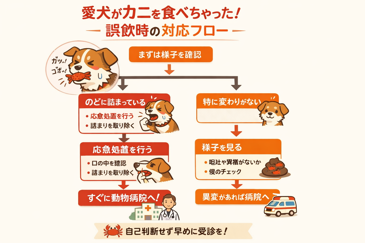 インフォグラフィック3