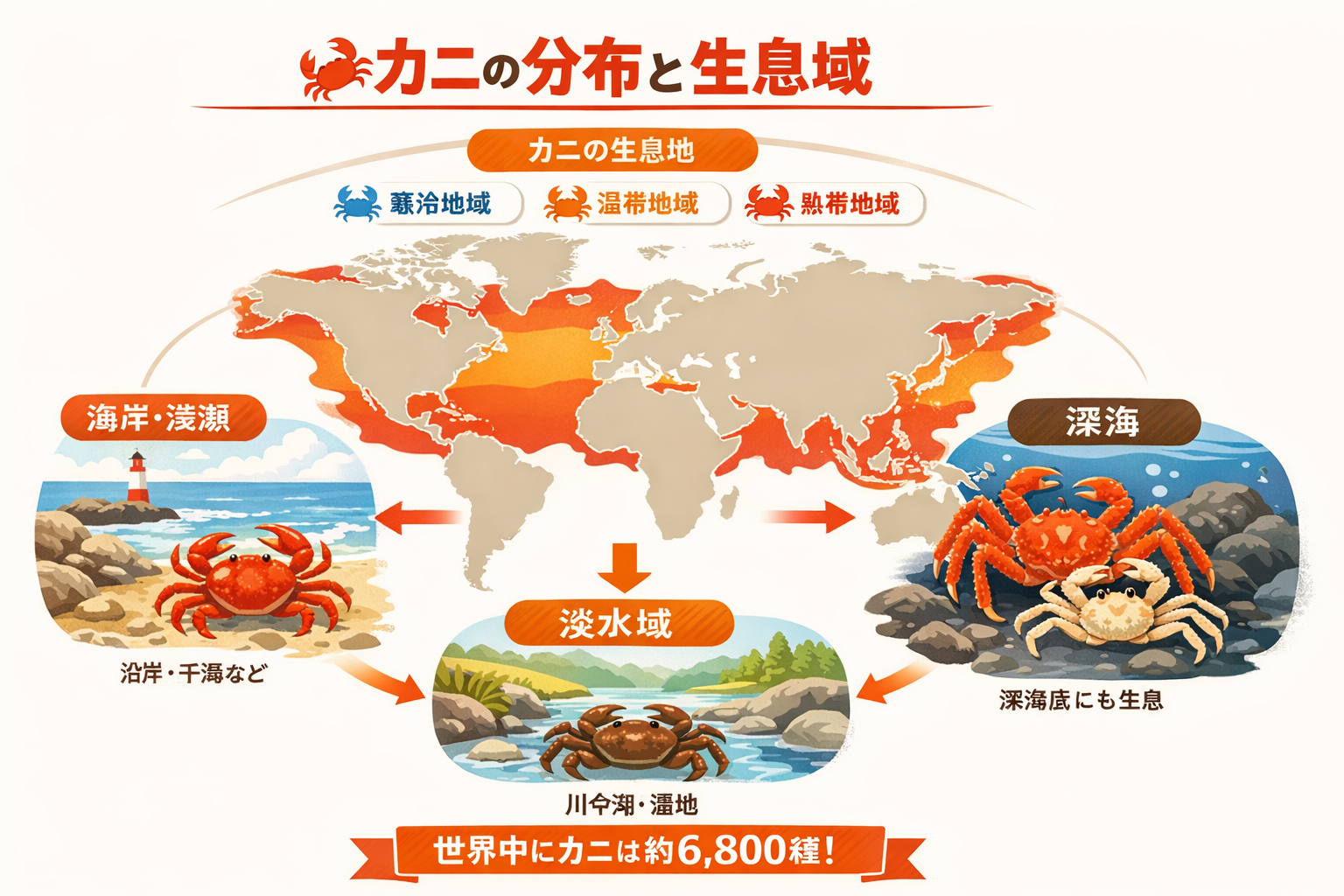 インフォグラフィック2