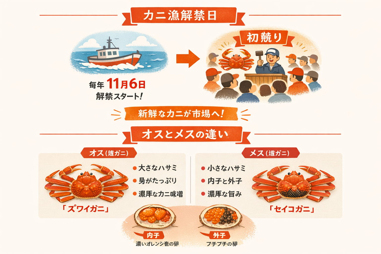 インフォグラフィック2