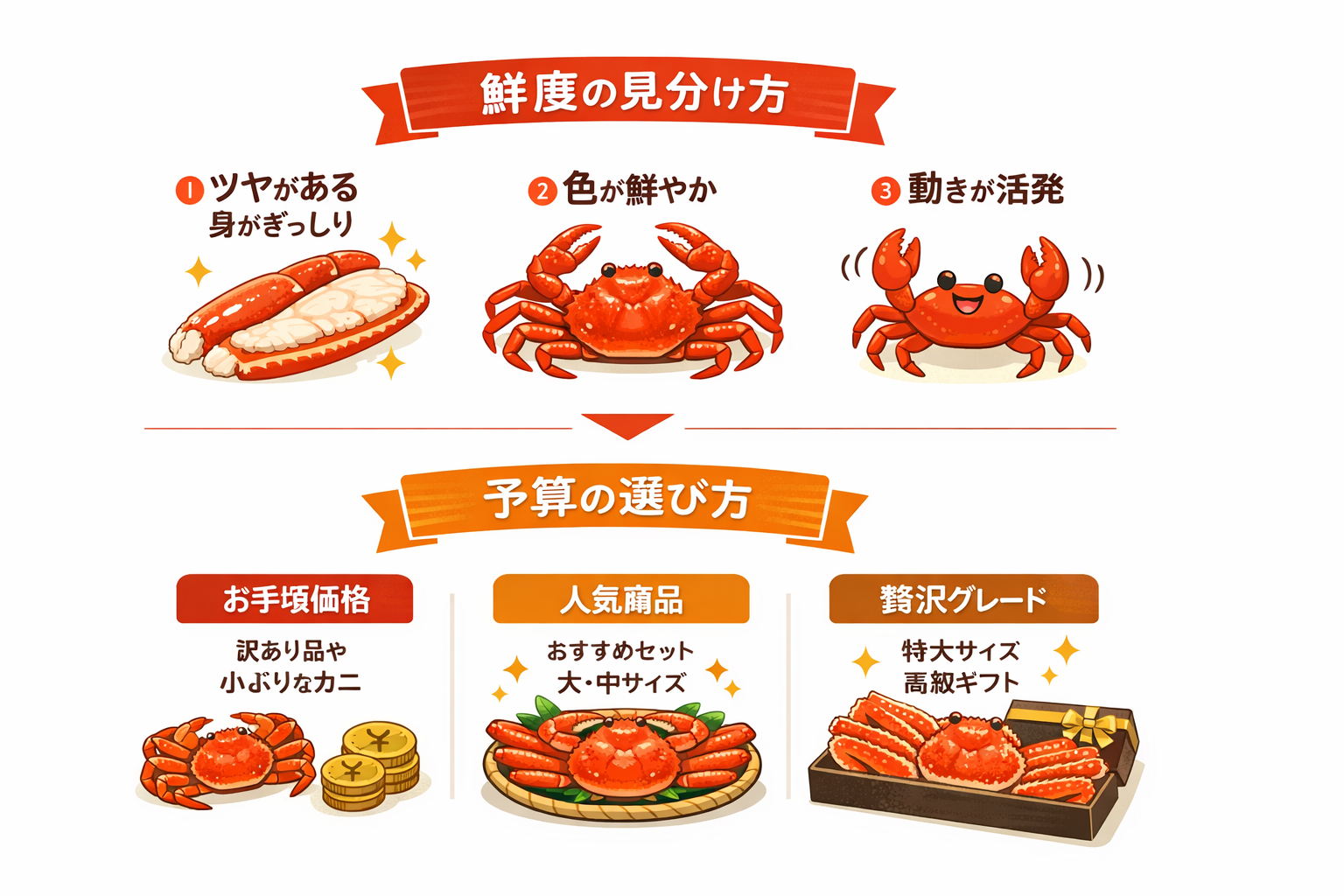 インフォグラフィック2