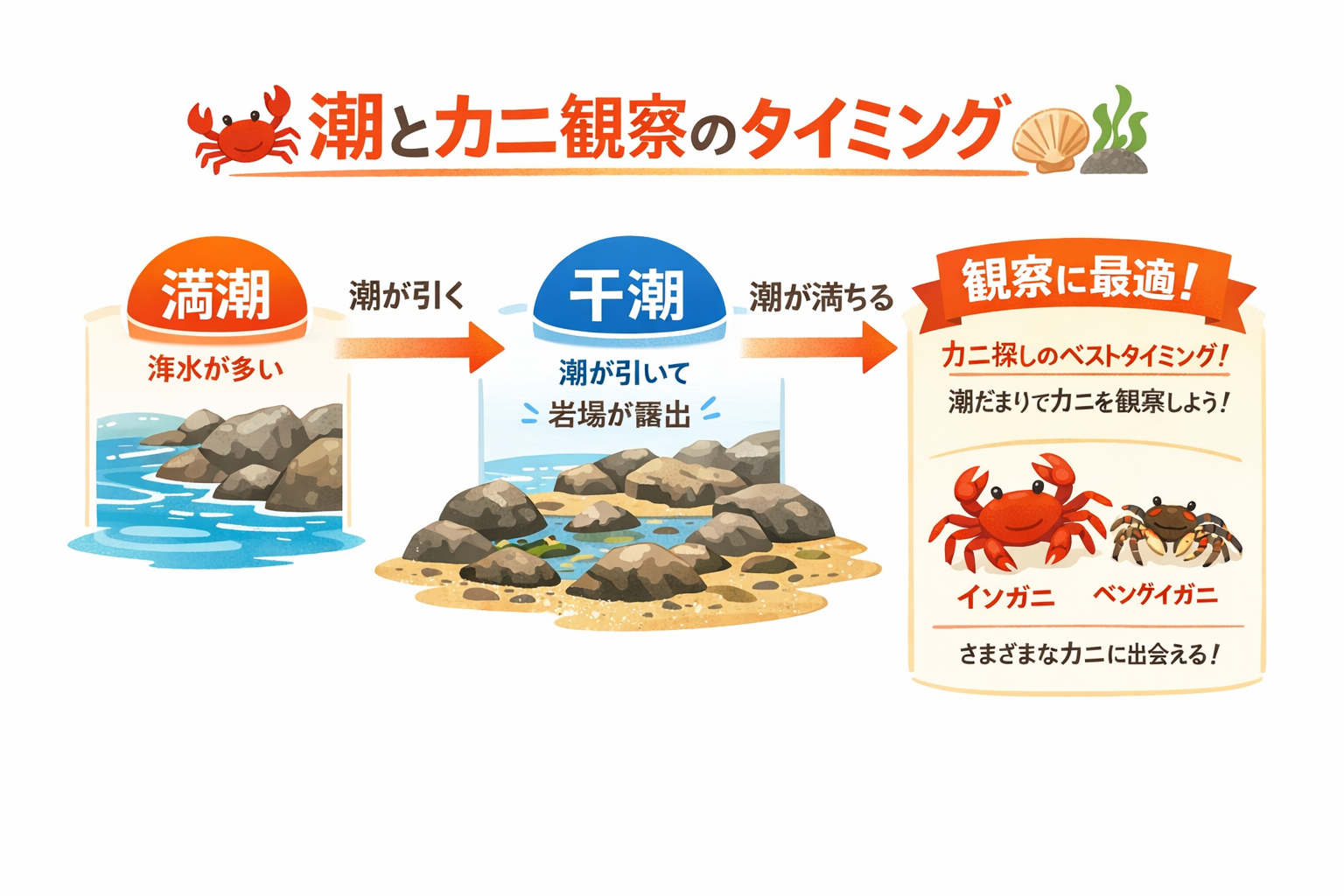 インフォグラフィック3