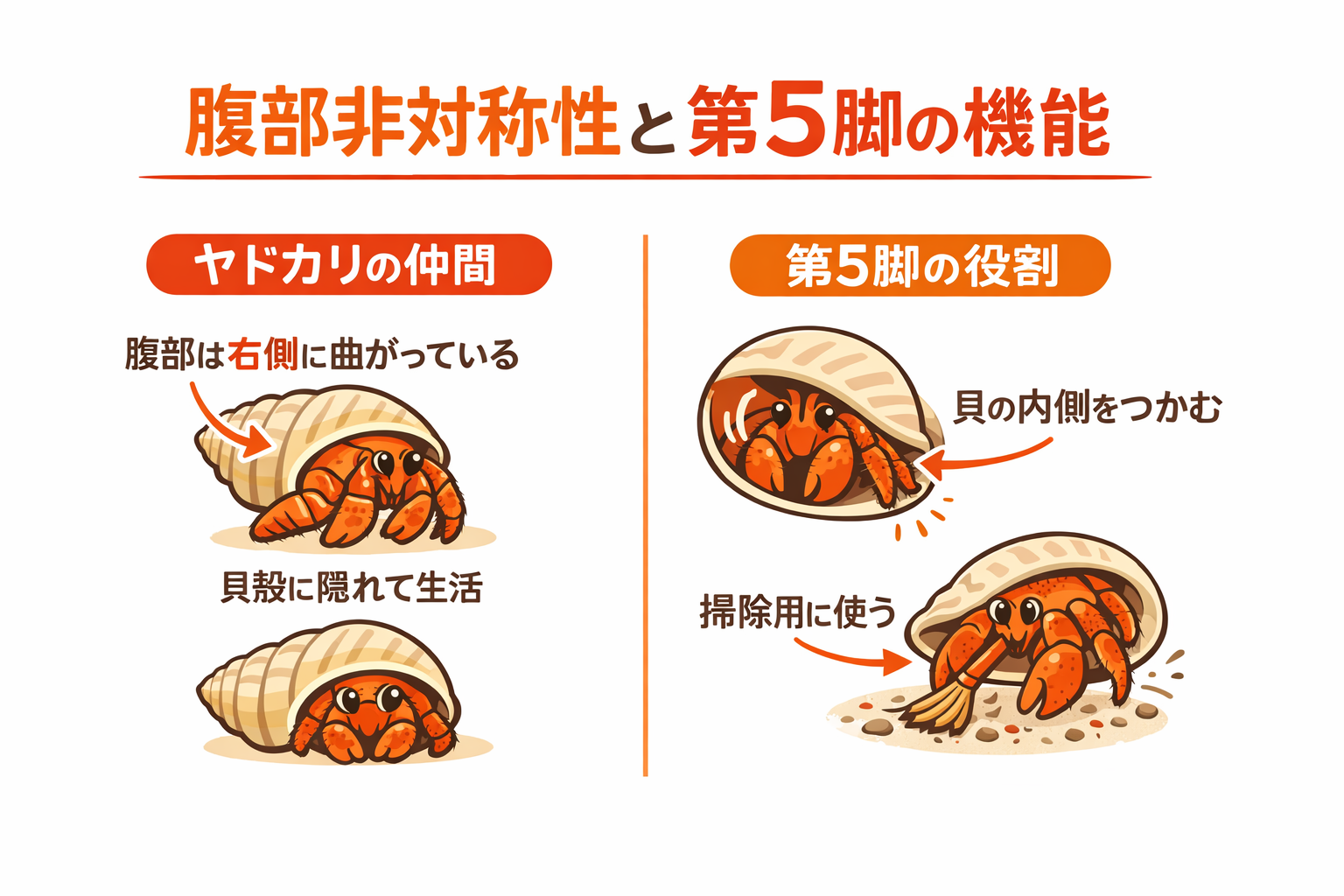 インフォグラフィック3