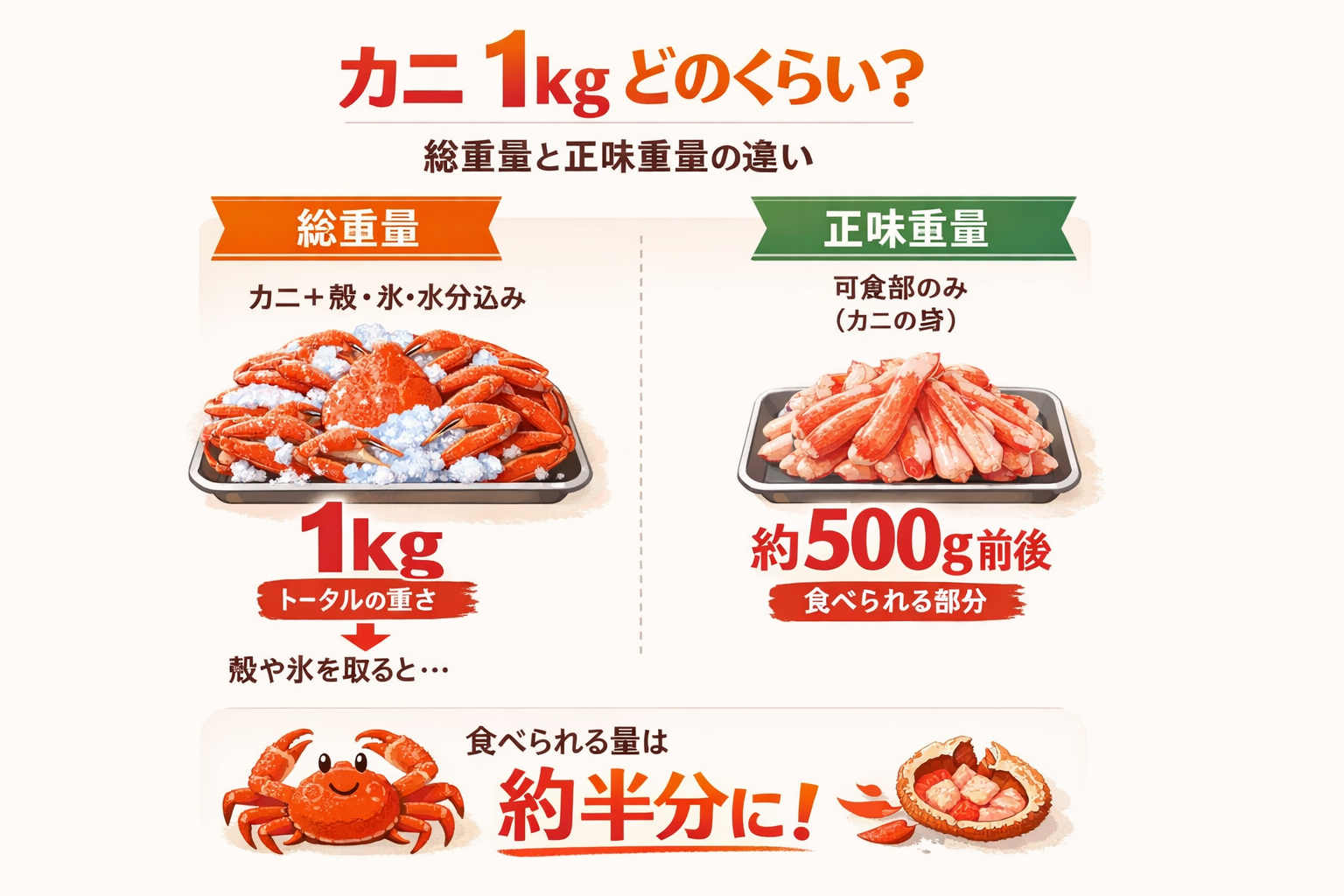 インフォグラフィック1