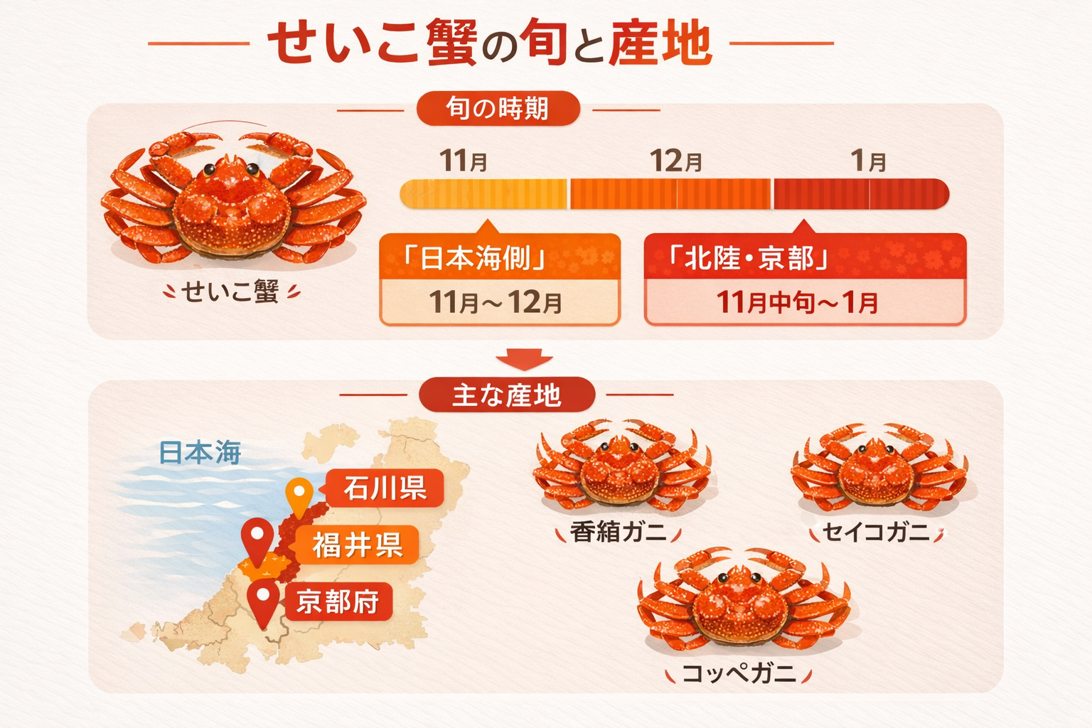 インフォグラフィック2