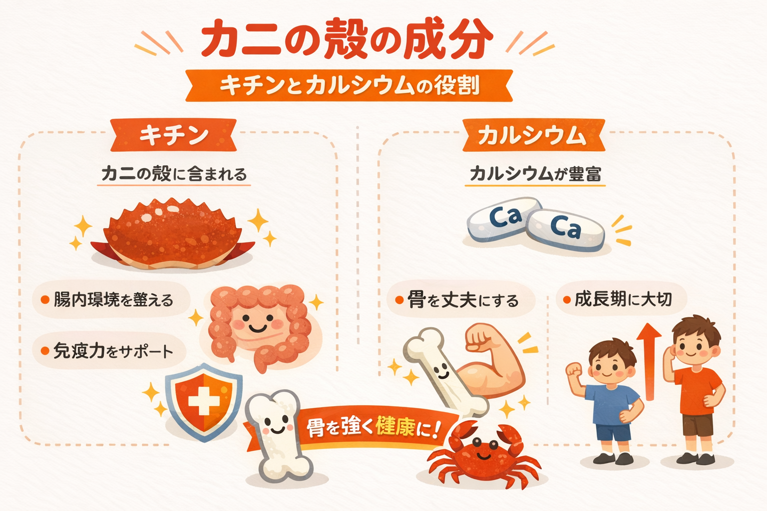 インフォグラフィック3