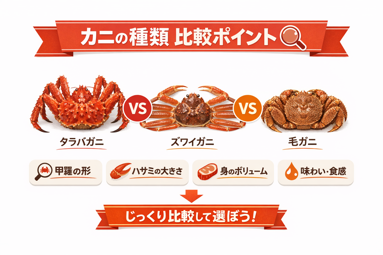 インフォグラフィック2