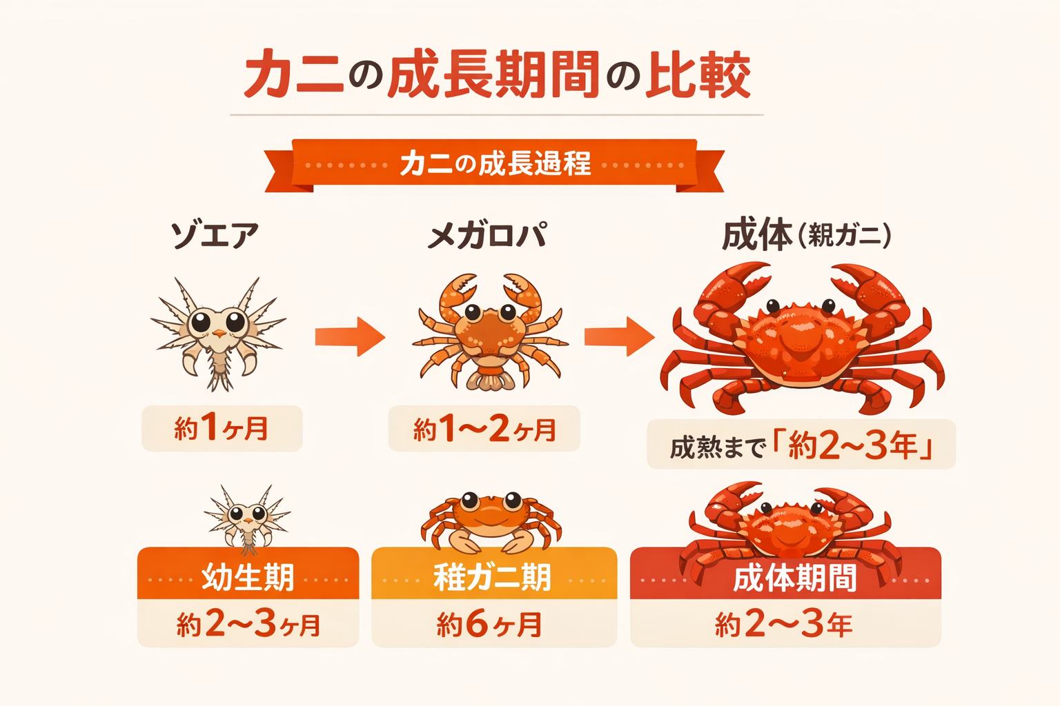 インフォグラフィック2