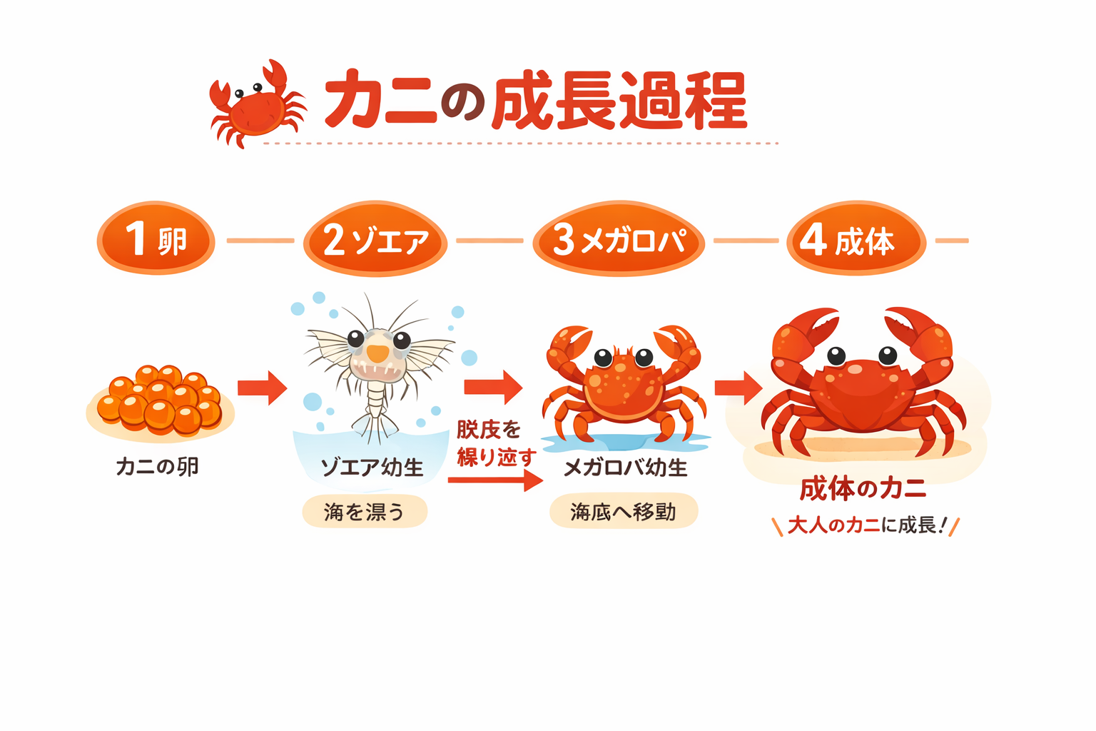 インフォグラフィック3