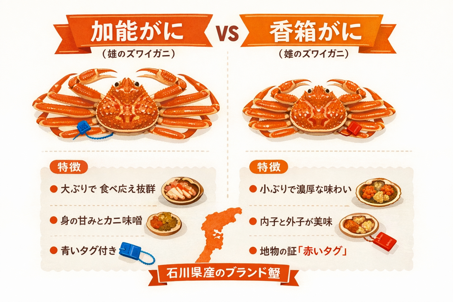 インフォグラフィック1