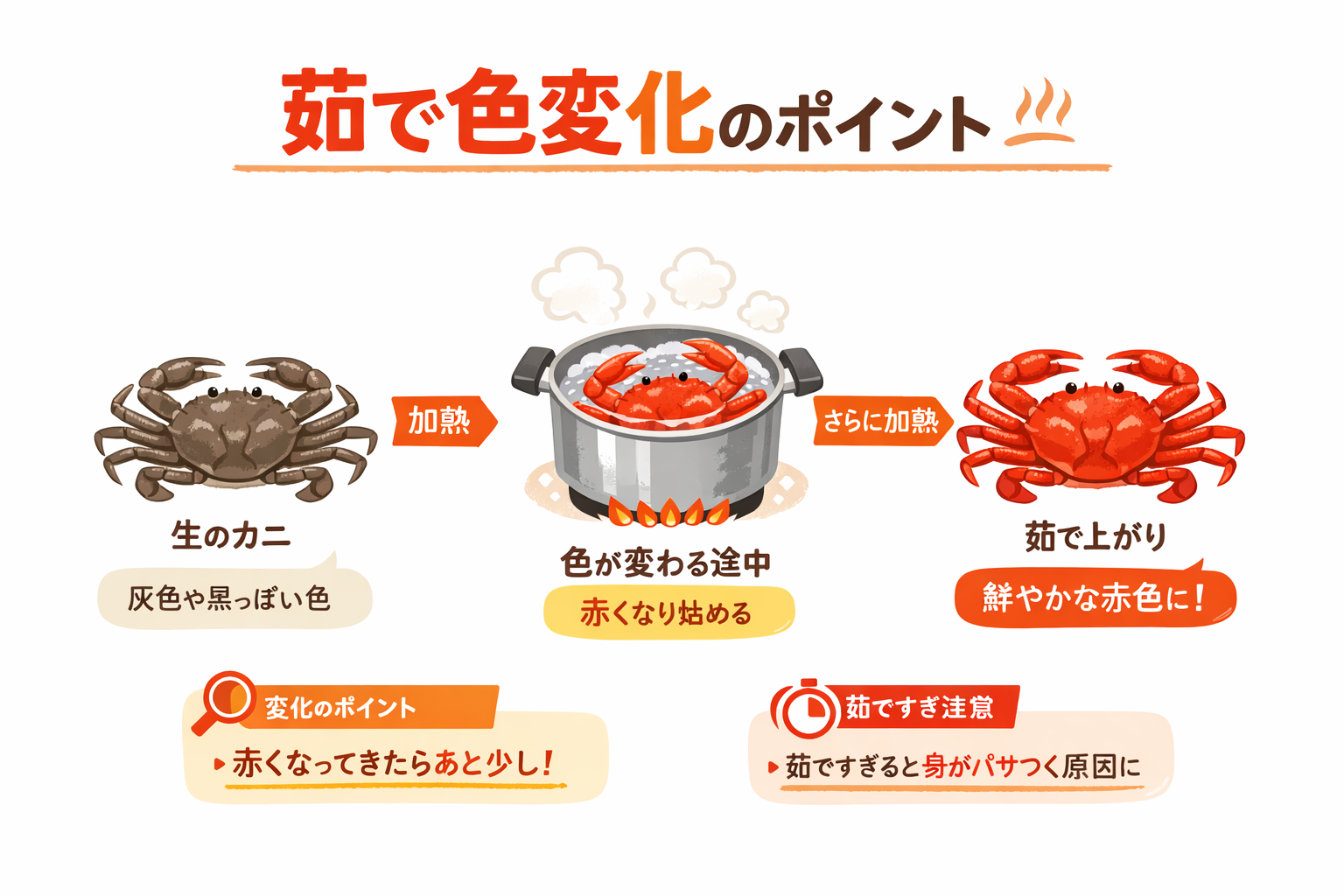 インフォグラフィック2