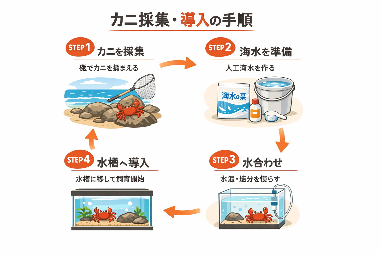 インフォグラフィック3