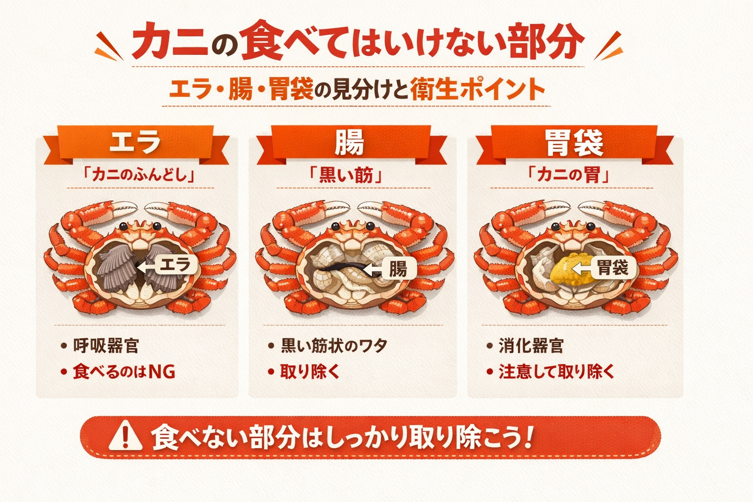 インフォグラフィック1