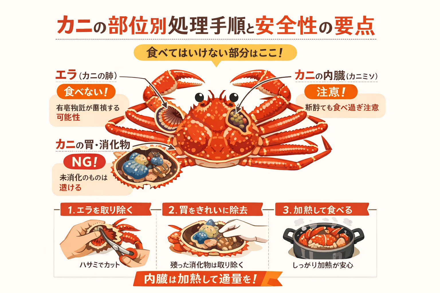 インフォグラフィック2