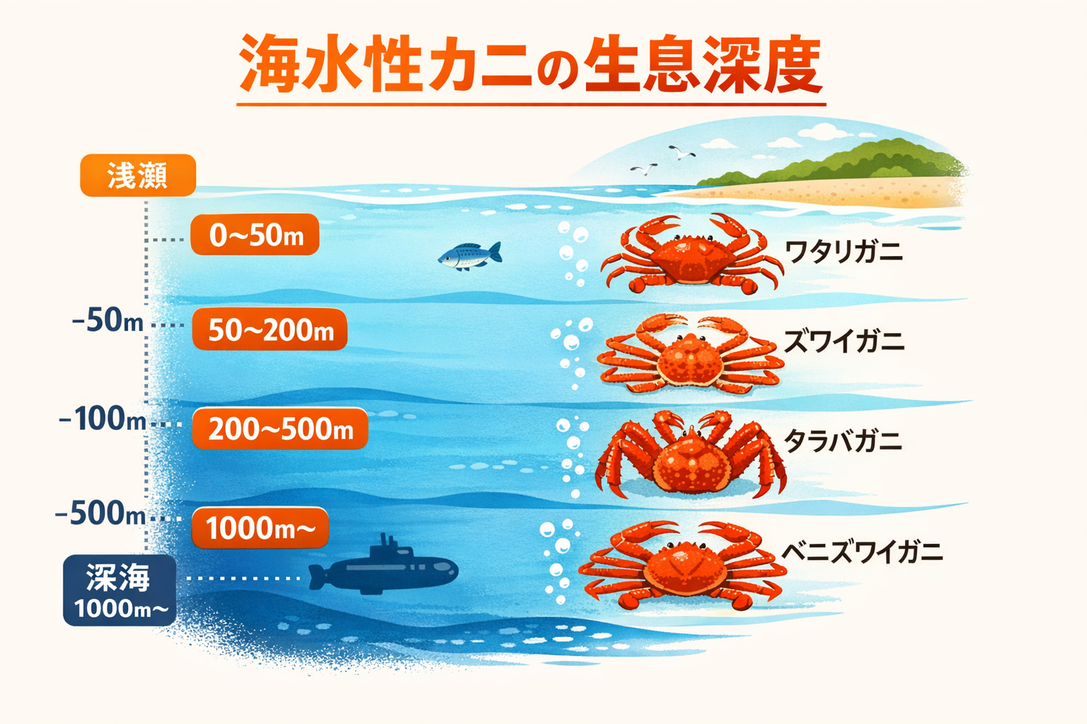 インフォグラフィック3