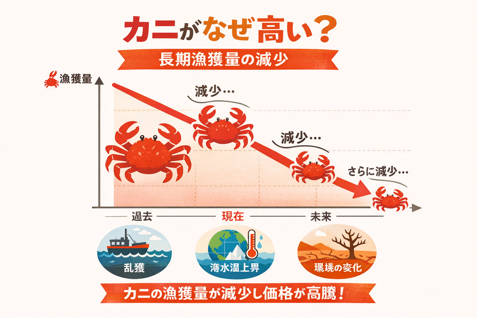 インフォグラフィック2