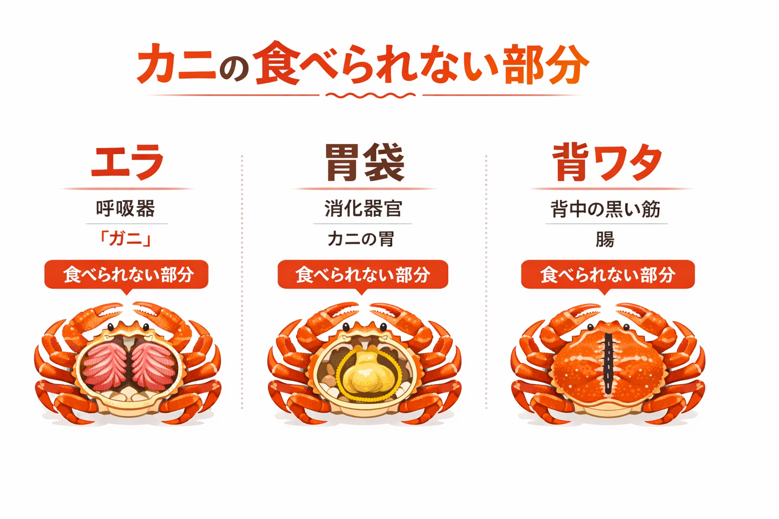 インフォグラフィック1