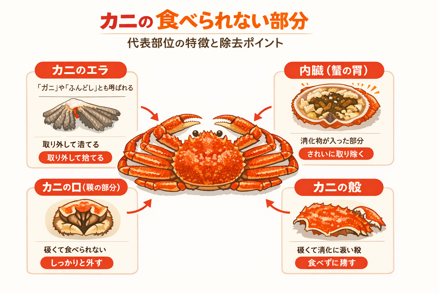 インフォグラフィック2