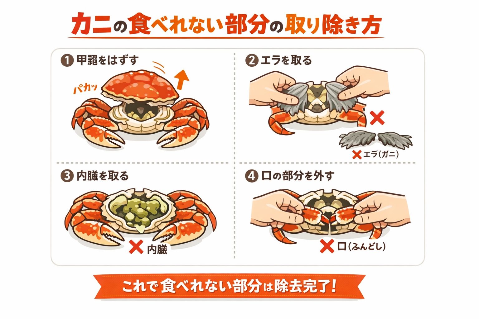 インフォグラフィック3