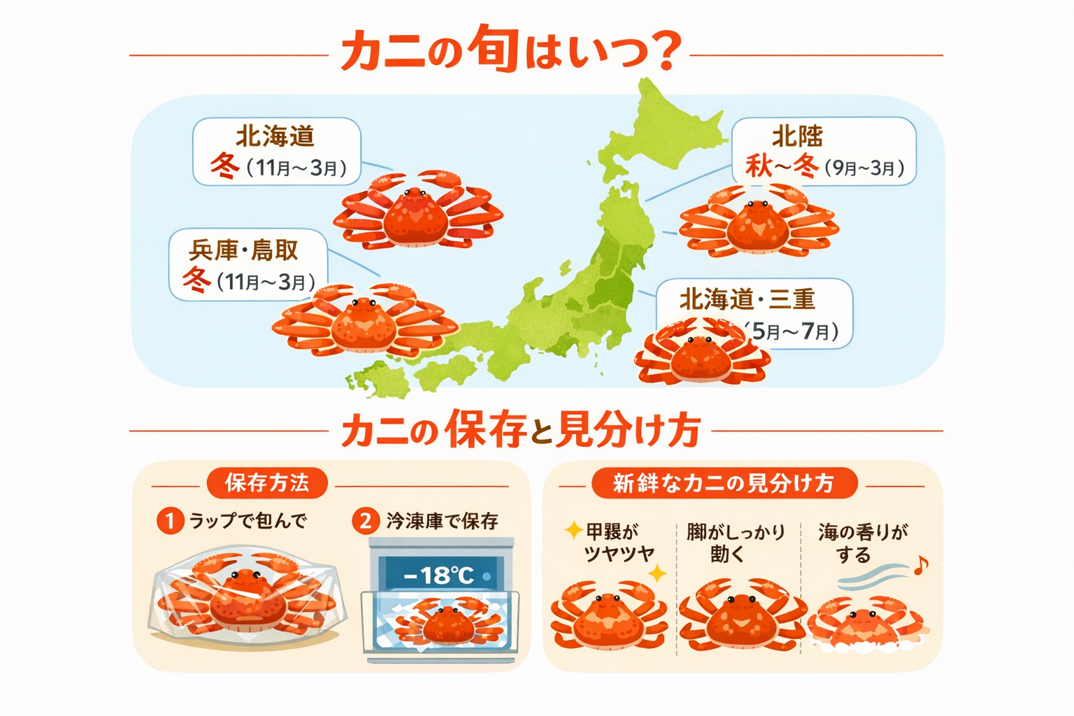 インフォグラフィック3