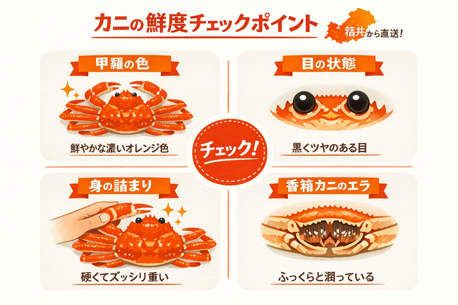 インフォグラフィック1