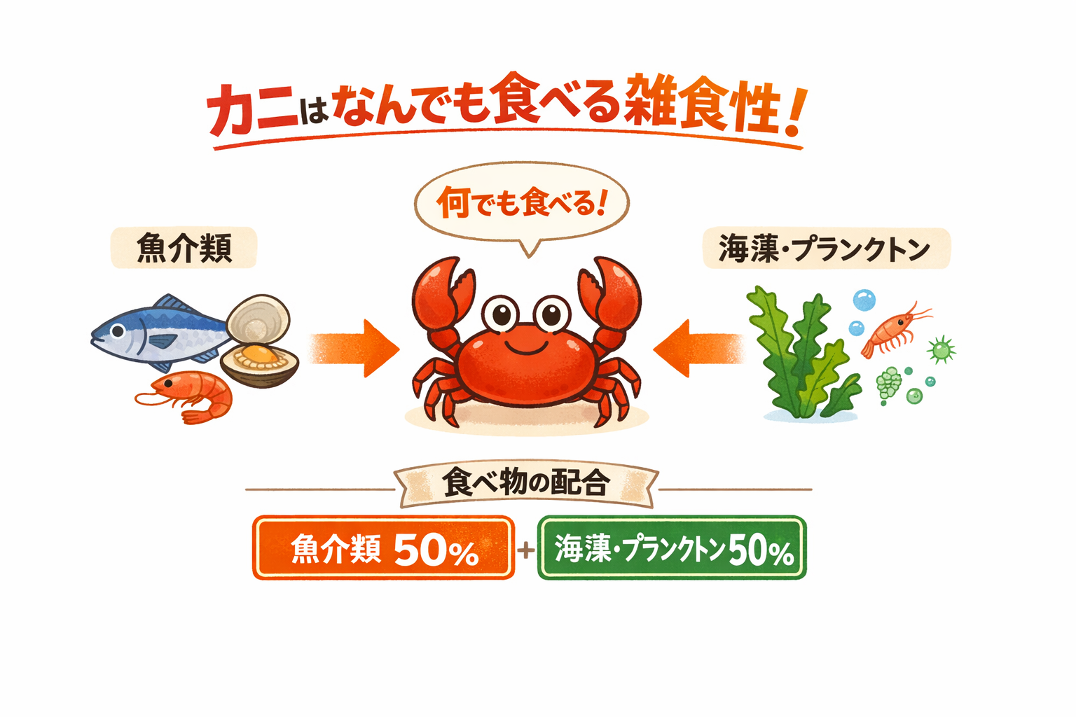 インフォグラフィック2