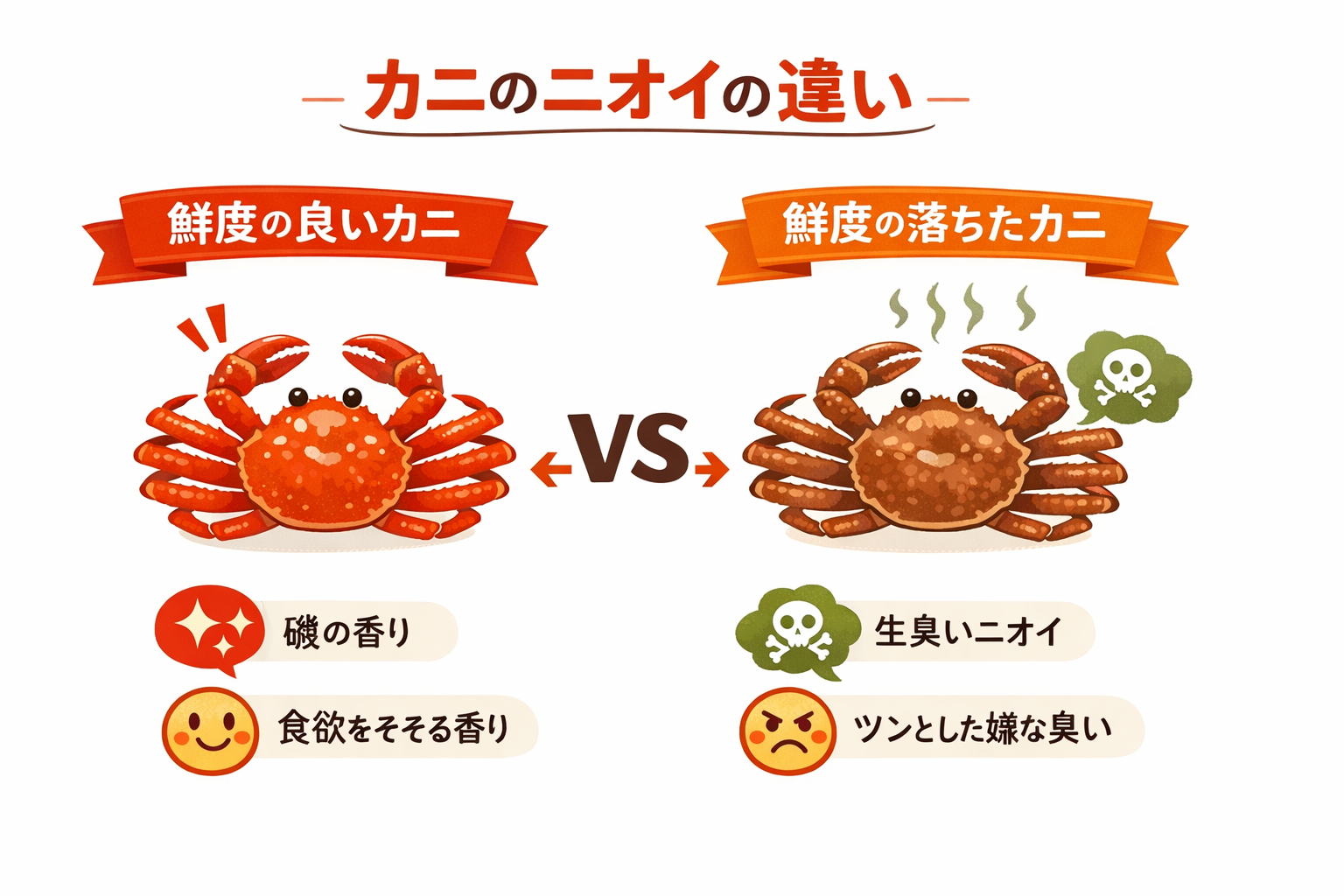 インフォグラフィック1