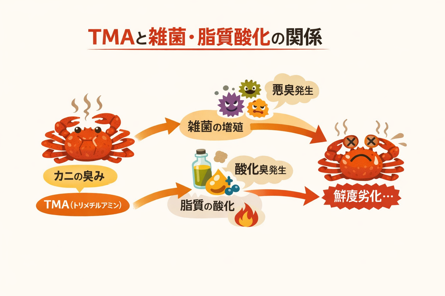 インフォグラフィック2