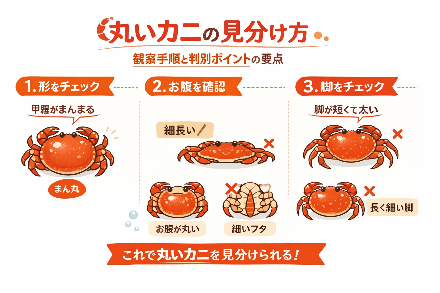 インフォグラフィック3