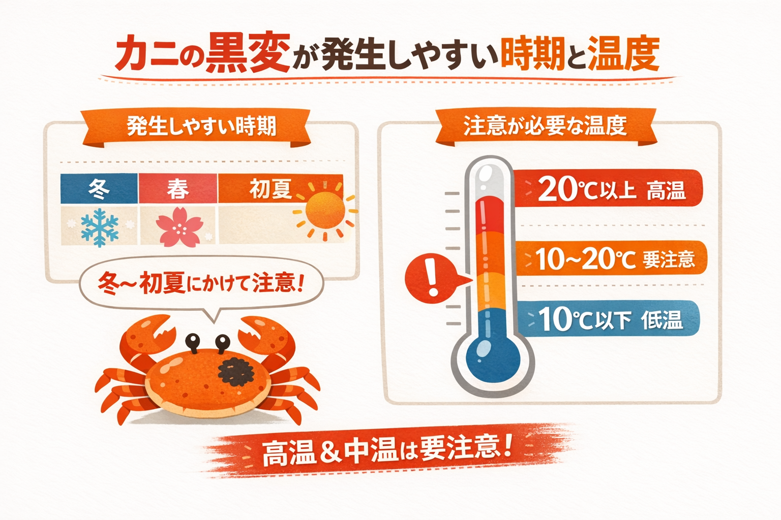 インフォグラフィック2