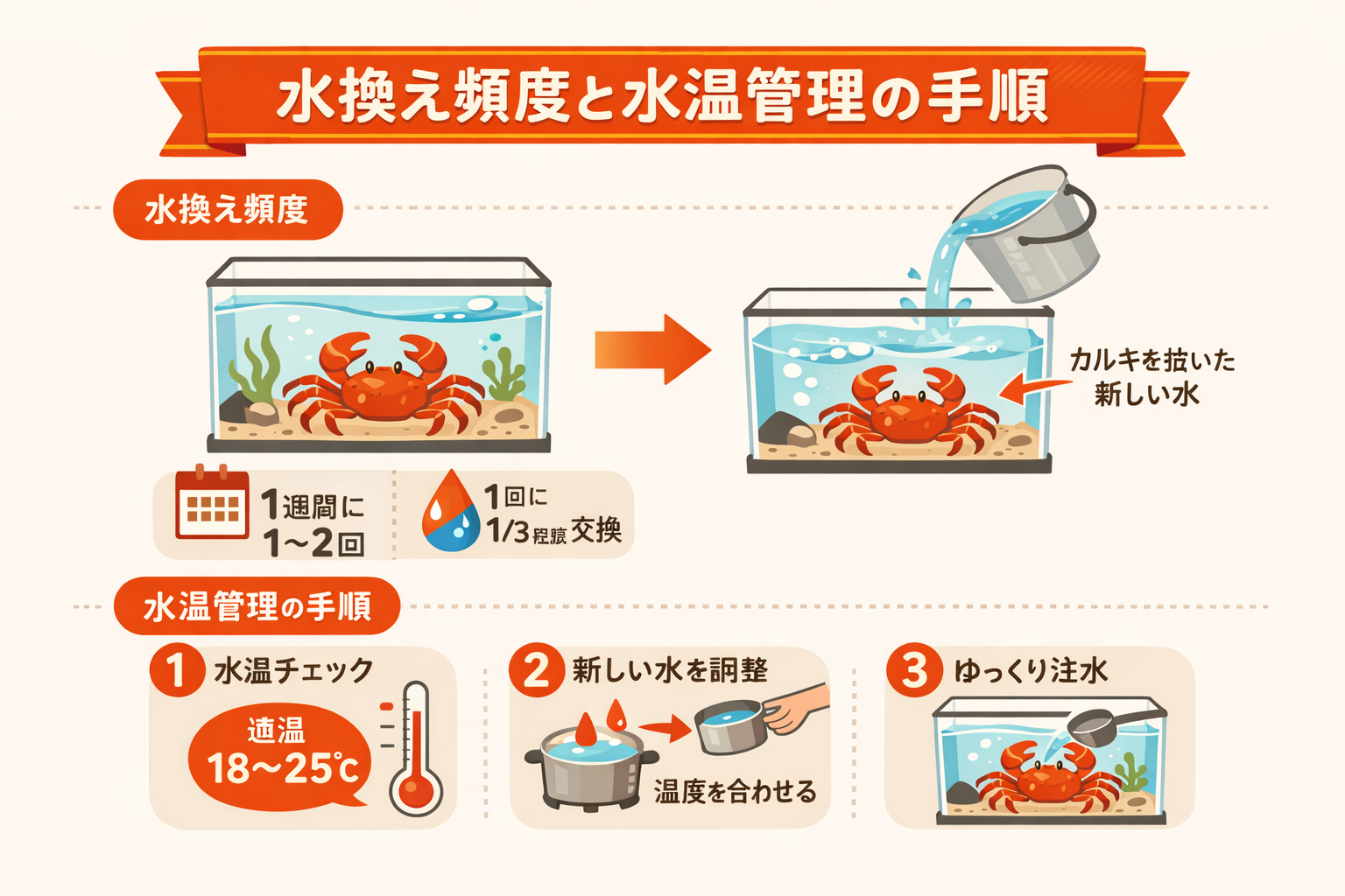 インフォグラフィック2