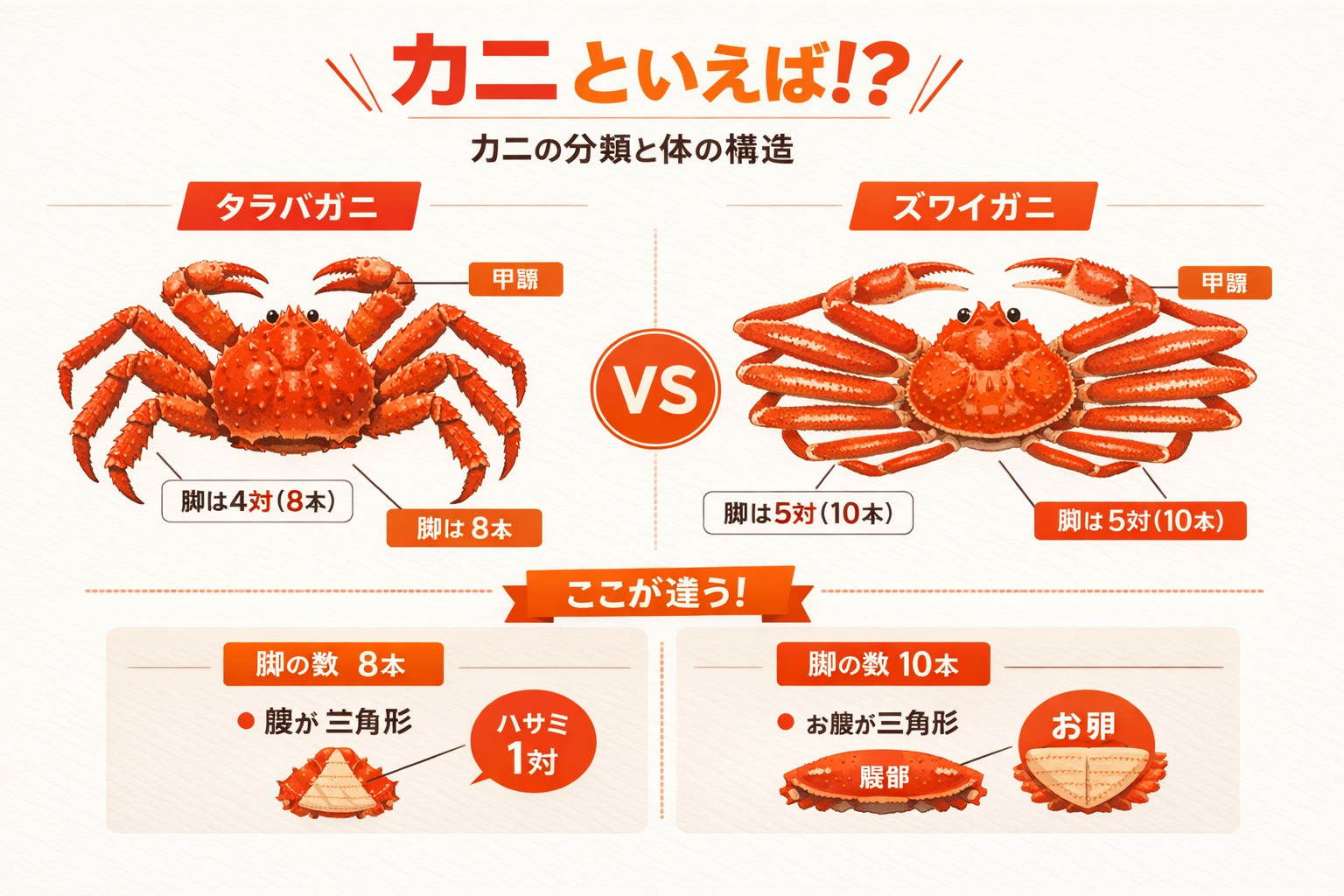 インフォグラフィック1