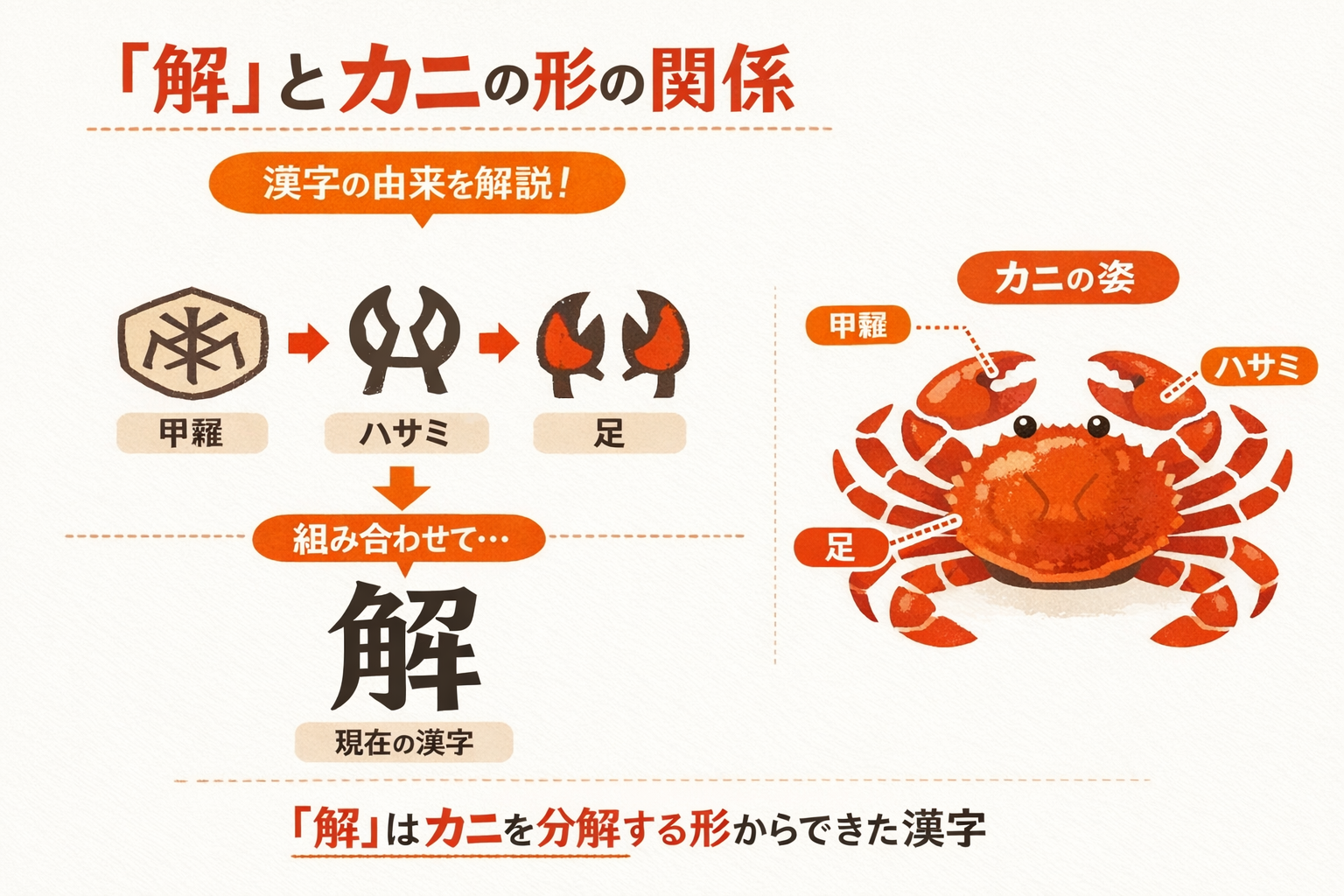 インフォグラフィック3