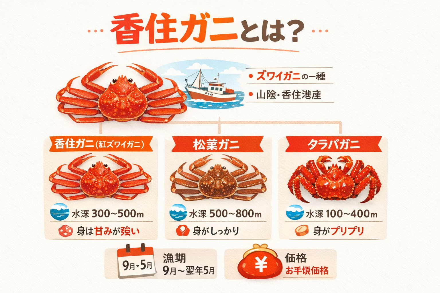 インフォグラフィック2