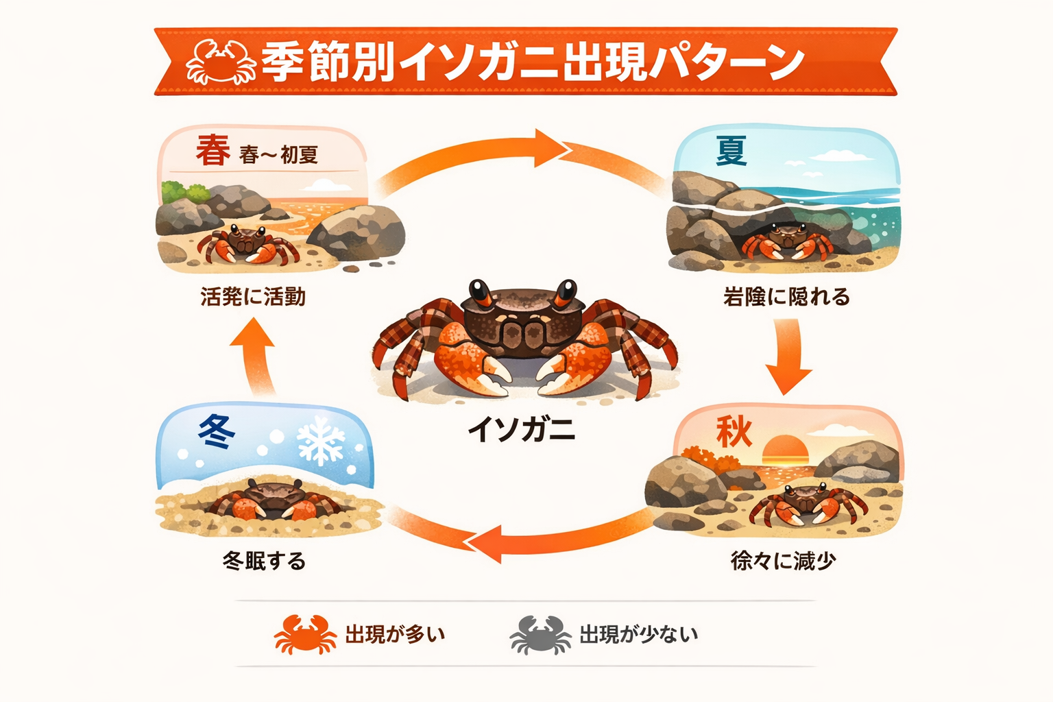 インフォグラフィック3