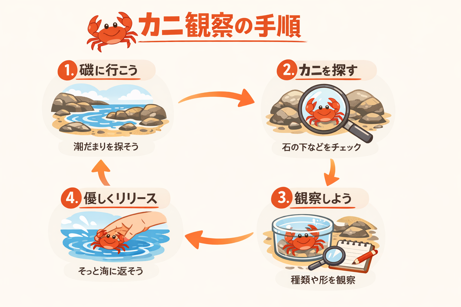 インフォグラフィック3