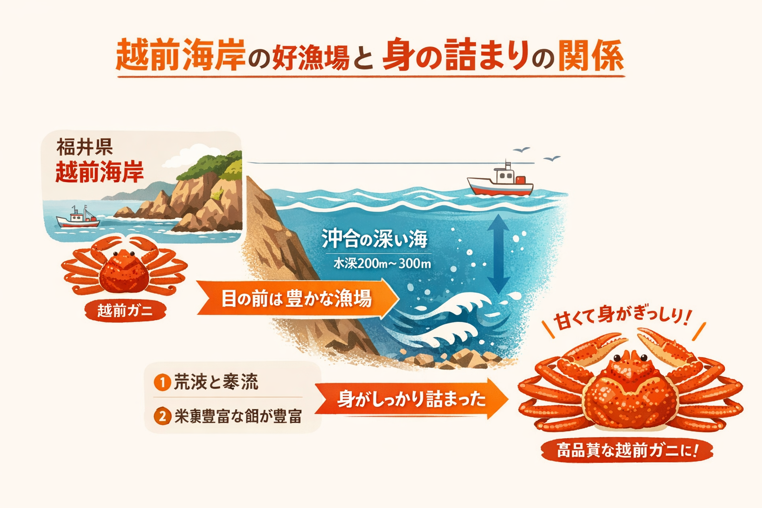 インフォグラフィック2