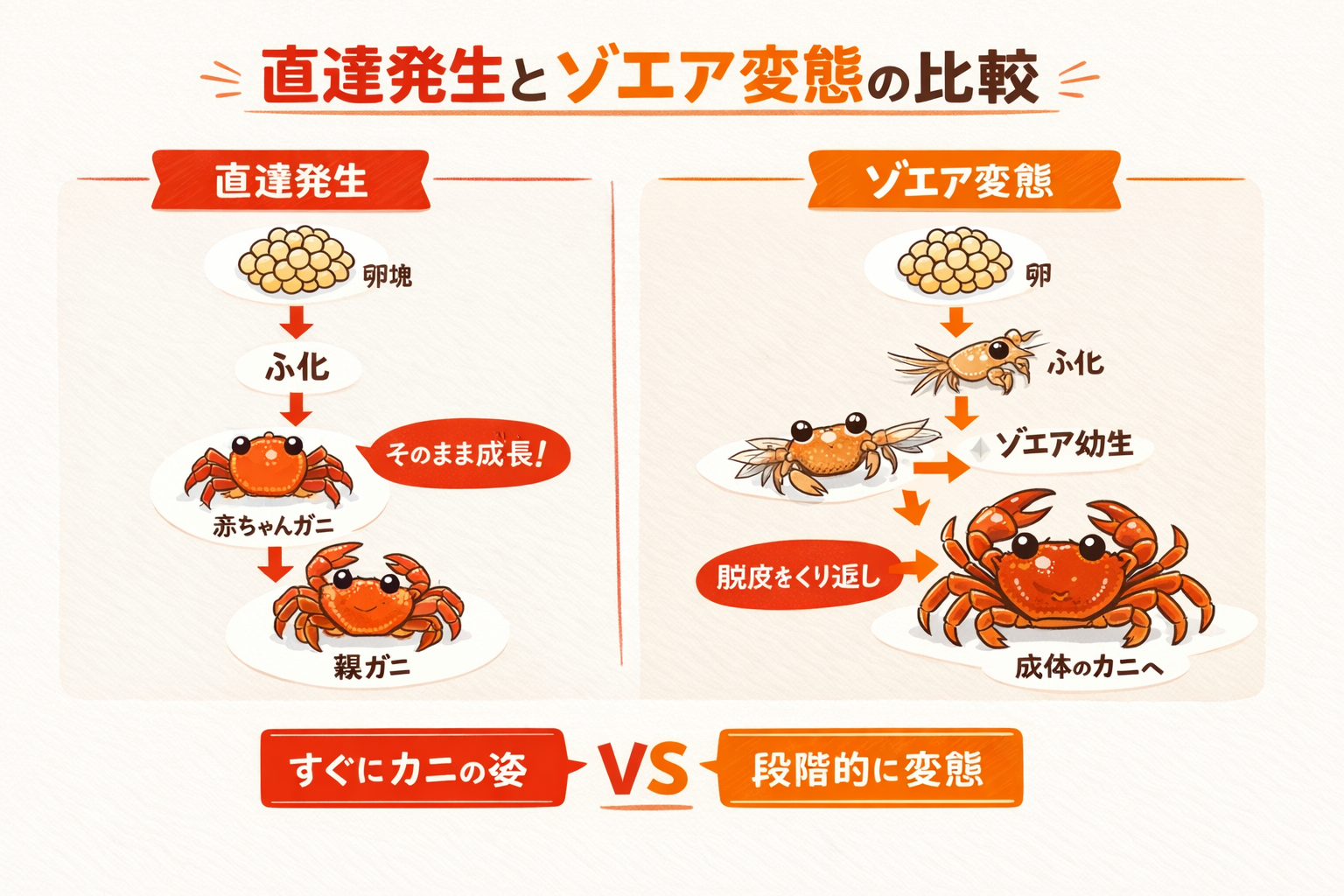 インフォグラフィック1