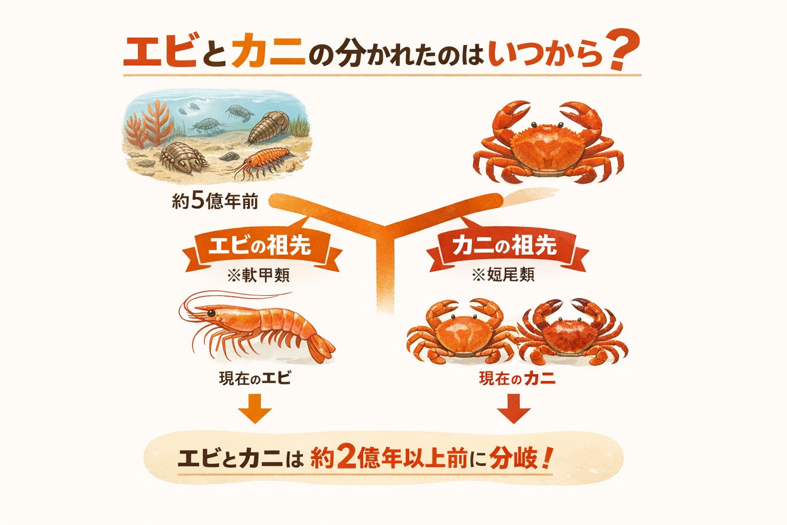 インフォグラフィック1